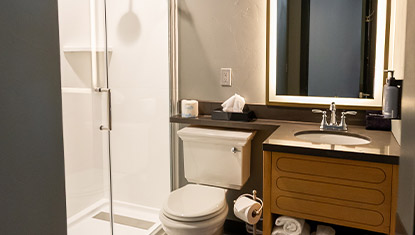 Historic Franklin bathroom update